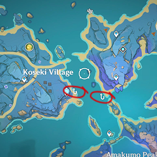 Inazuma golden koi fishing spots